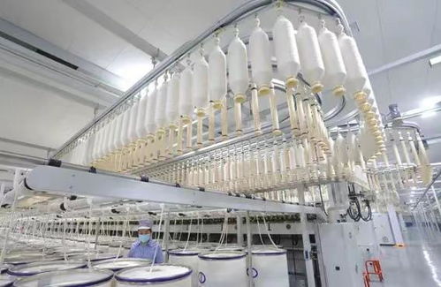 魏桥退市折射行业阵痛 中国纺织业的转型十字路口